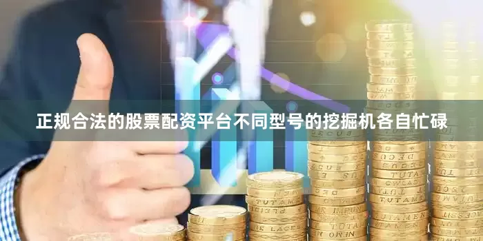 正规合法的股票配资平台不同型号的挖掘机各自忙碌
