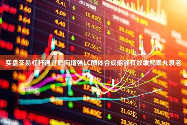 实盘交易杠杆通过靶向增强LC酮体合成能够有效缓解睾丸衰老